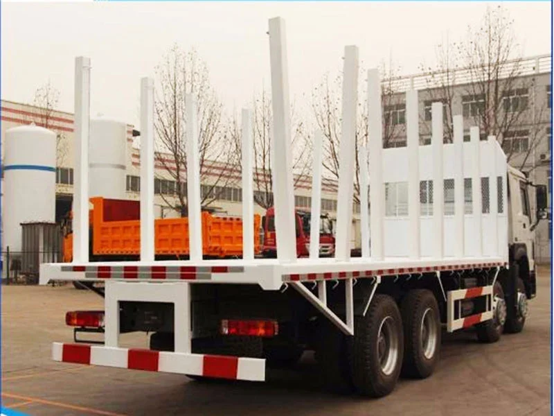 CLW HOWO 8×4 Logging Truck — reference view 2