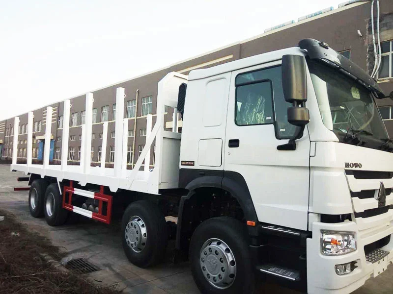 CLW HOWO 8×4 Logging Truck — reference view 3